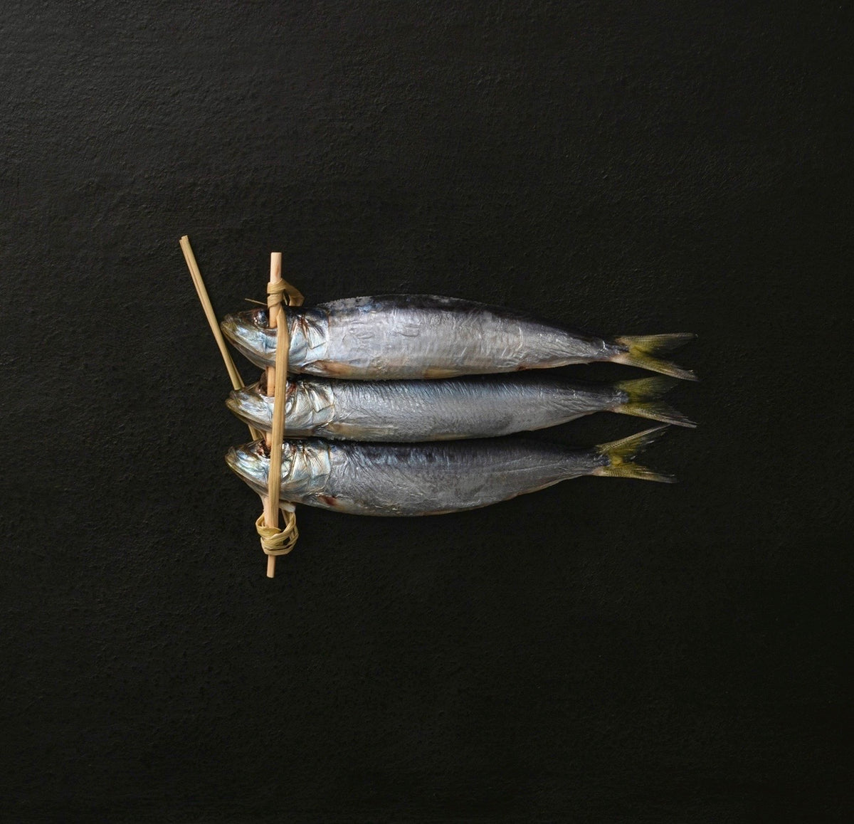 8D494967-4702-48BA-A343-